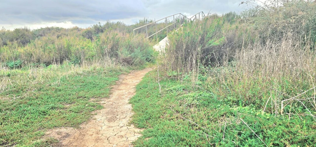 Terreno para Venda em Silves Foto 11
