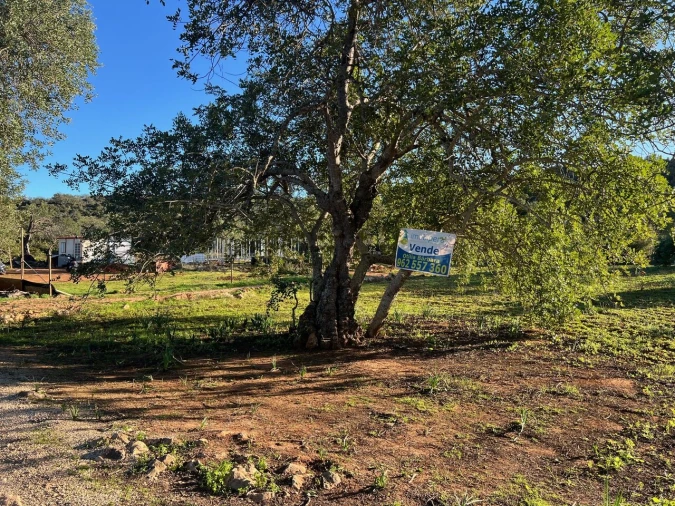 Terreno para Venda em Boliqueime Foto 2