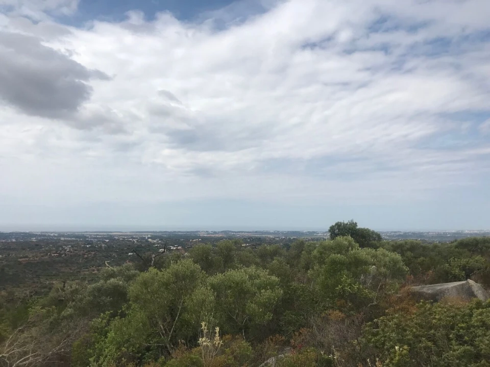 Terreno para Venda em Loule (São Sebastião) Foto 7