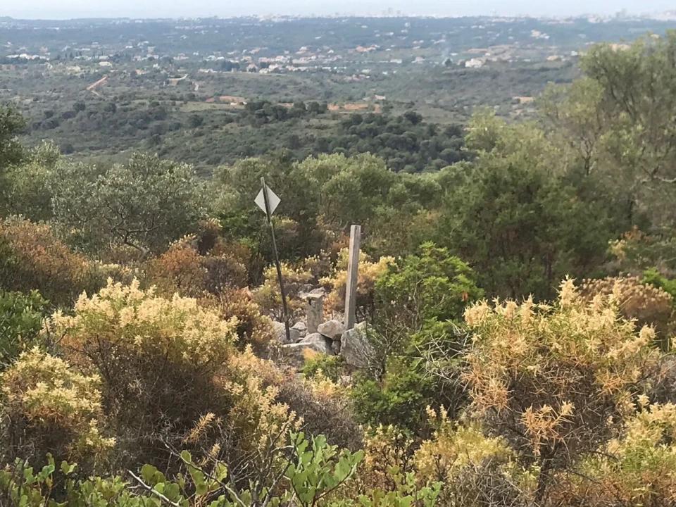 Terreno para Venda em Loule (São Sebastião) Foto 2