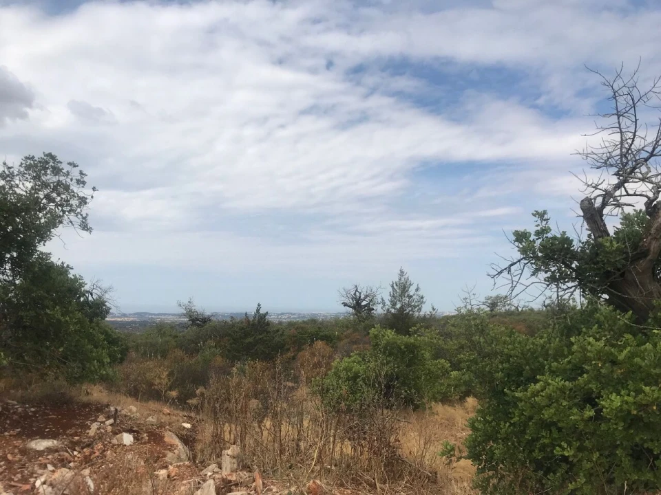 Terreno para Venda em Loule (São Sebastião) Foto 9