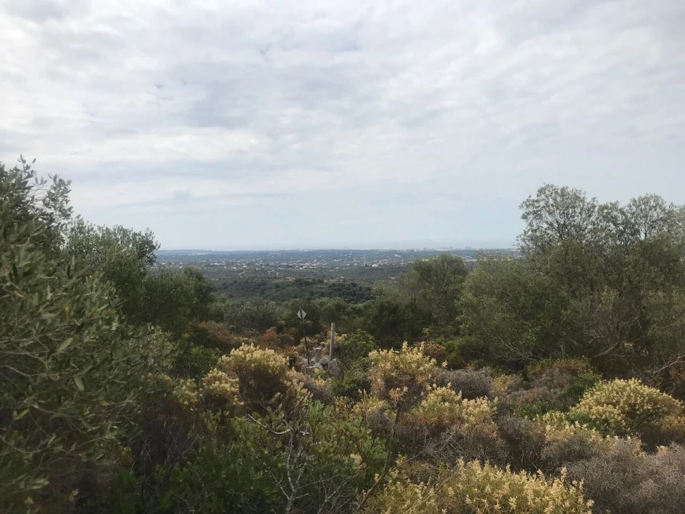 Terreno para Venda em Loule (São Sebastião) Foto 12