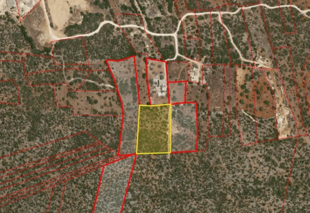 Terreno para Venda em Loule (São Sebastião) Foto 5