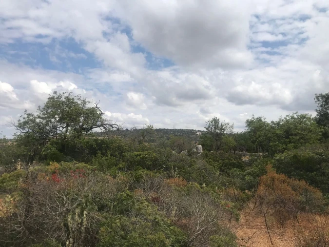 Terreno para Venda em Loule (São Sebastião) Foto 11