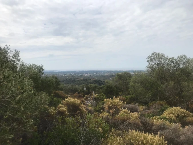 Terreno para Venda em Loule (São Sebastião) Foto 12