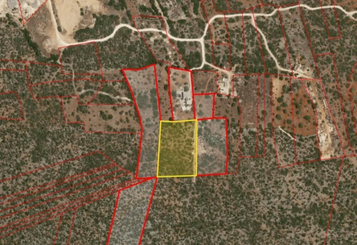 Terreno para Venda em Loule (São Sebastião) Foto 5