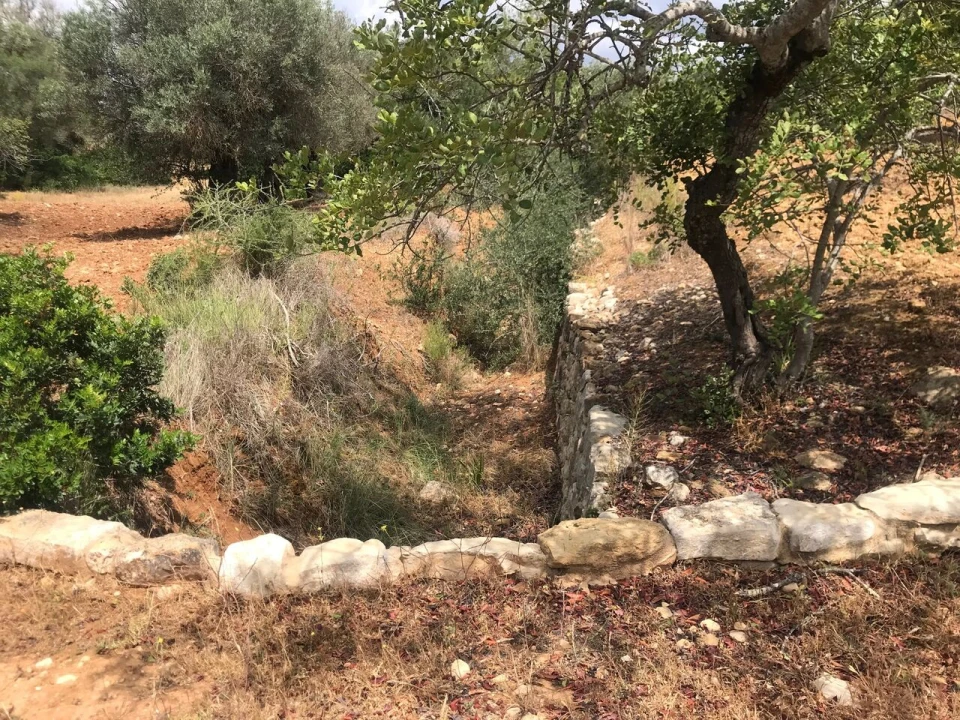 Terreno para Venda em Boliqueime Foto 2