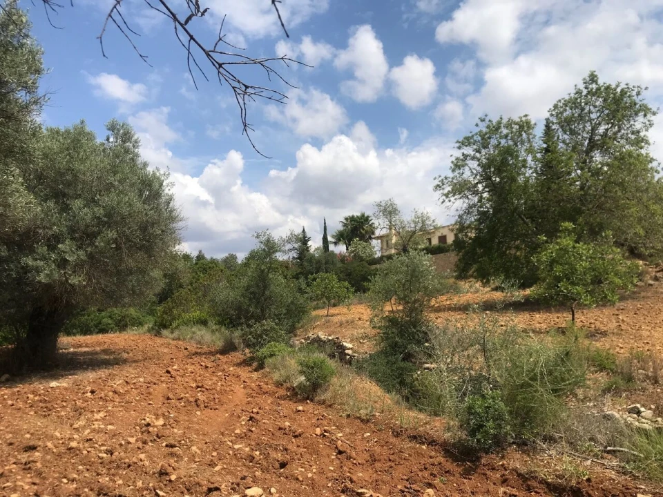 Terreno para Venda em Boliqueime Foto 6
