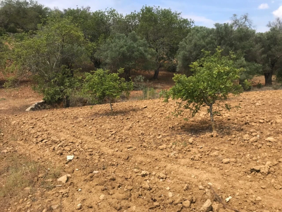 Terreno para Venda em Boliqueime Foto 8