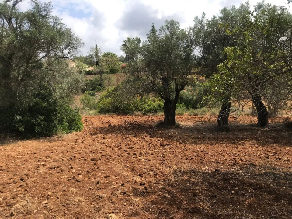 Terreno para Venda em Boliqueime Foto 13