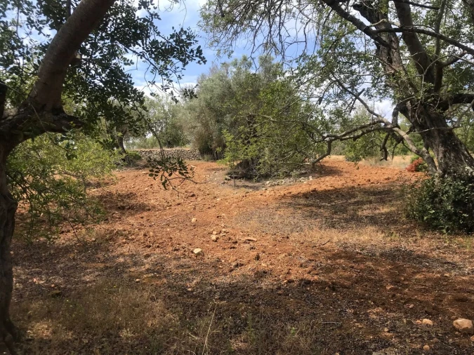 Terreno para Venda em Boliqueime Foto 3