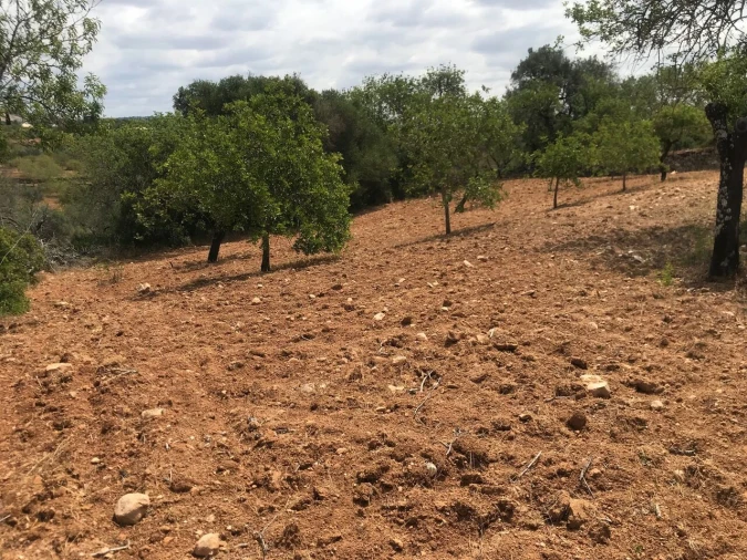 Terreno para Venda em Boliqueime Foto 20