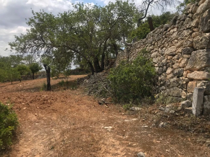 Terreno para Venda em Boliqueime Foto 23
