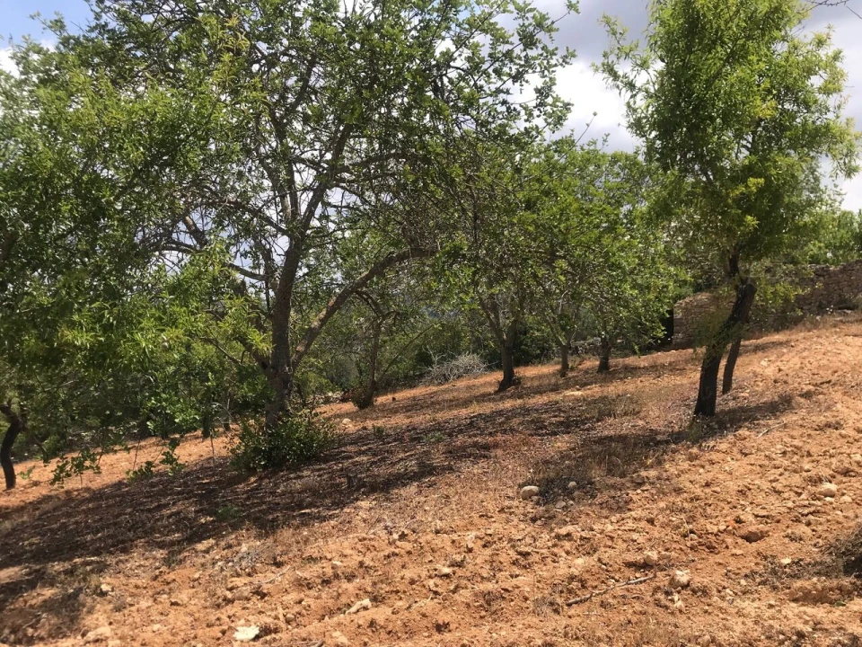 Terreno para Venda em Boliqueime Foto 6