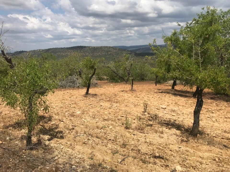 Terreno para Venda em Boliqueime Foto 10