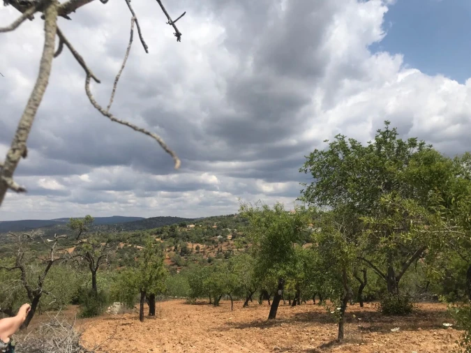 Terreno para Venda em Boliqueime Foto 2