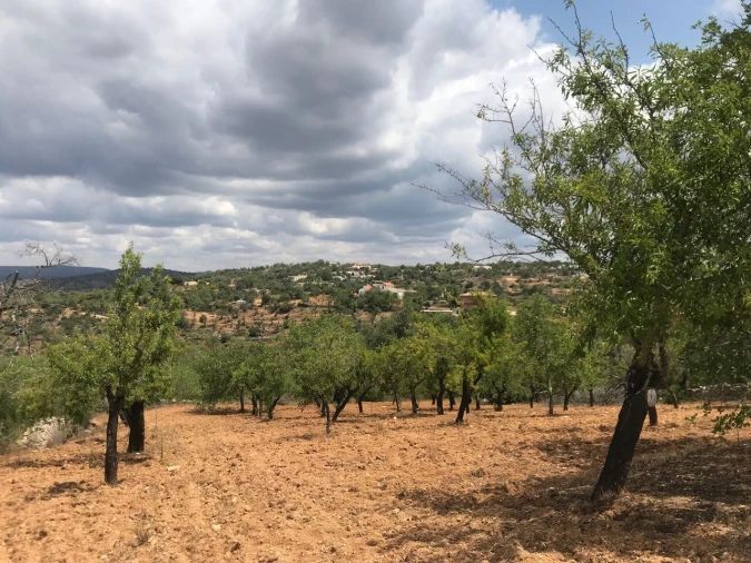 Terreno para Venda em Boliqueime Foto 5