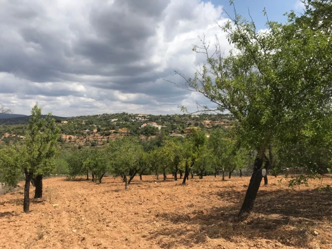 Terreno para Venda em Boliqueime Foto 7