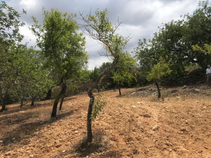Terreno para Venda em Boliqueime Foto 3