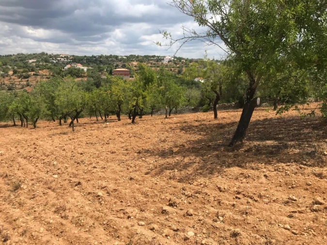 Terreno para Venda em Boliqueime Foto 1