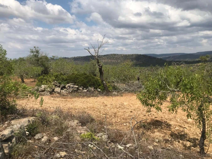 Terreno para Venda em Boliqueime Foto 8