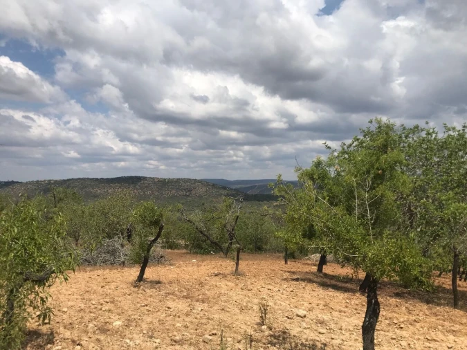 Terreno para Venda em Boliqueime Foto 9