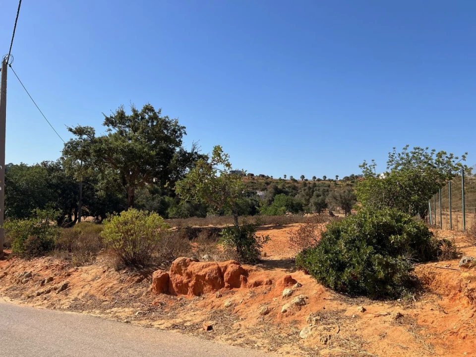 Terreno para Venda em Guia Foto 4