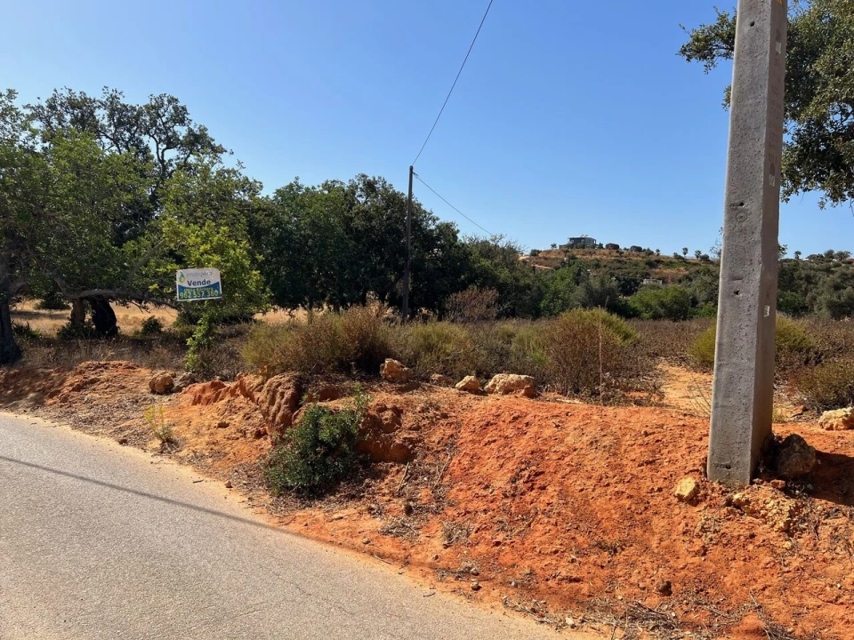 Terreno para Venda em Guia Foto 5