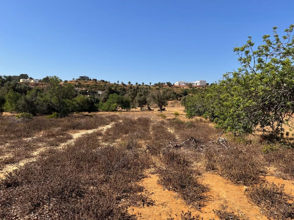Terreno para Venda em Guia Foto 7