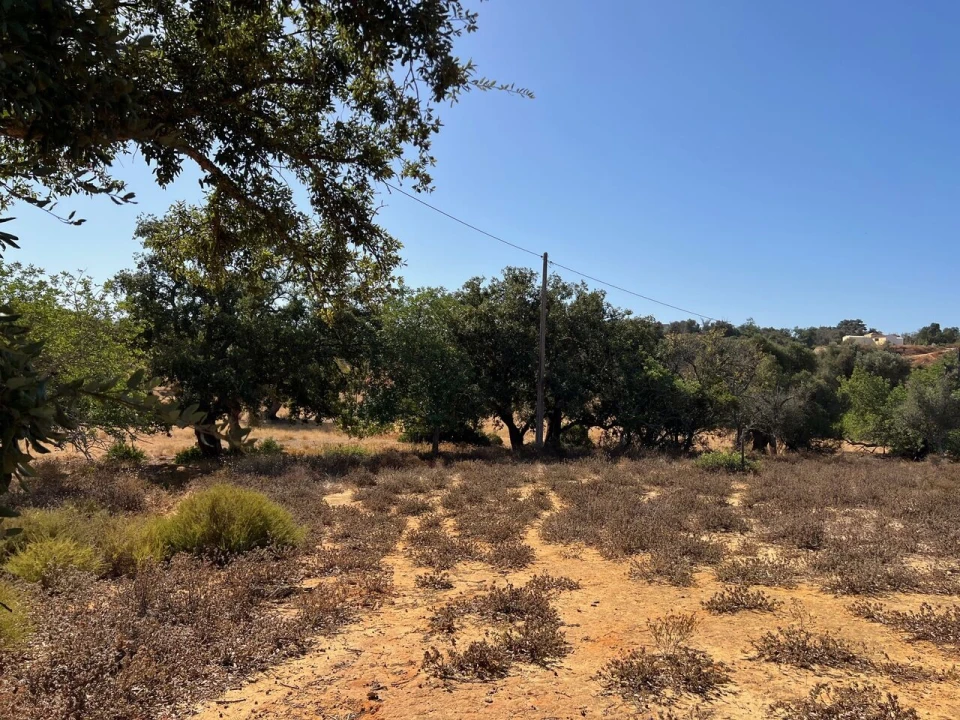 Terreno para Venda em Guia Foto 9