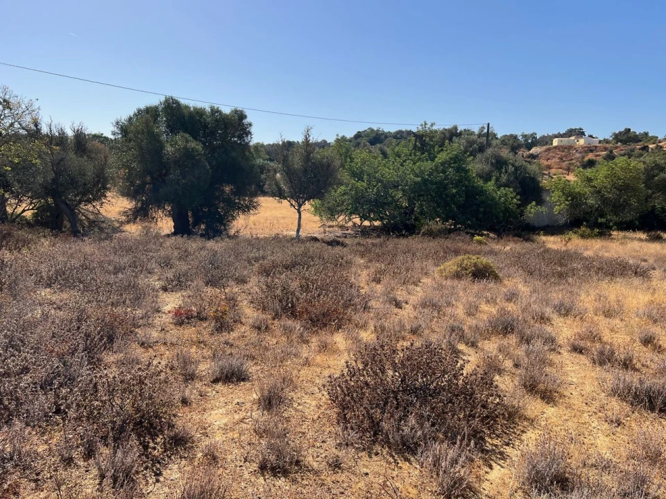 Terreno para Venda em Guia Foto 13