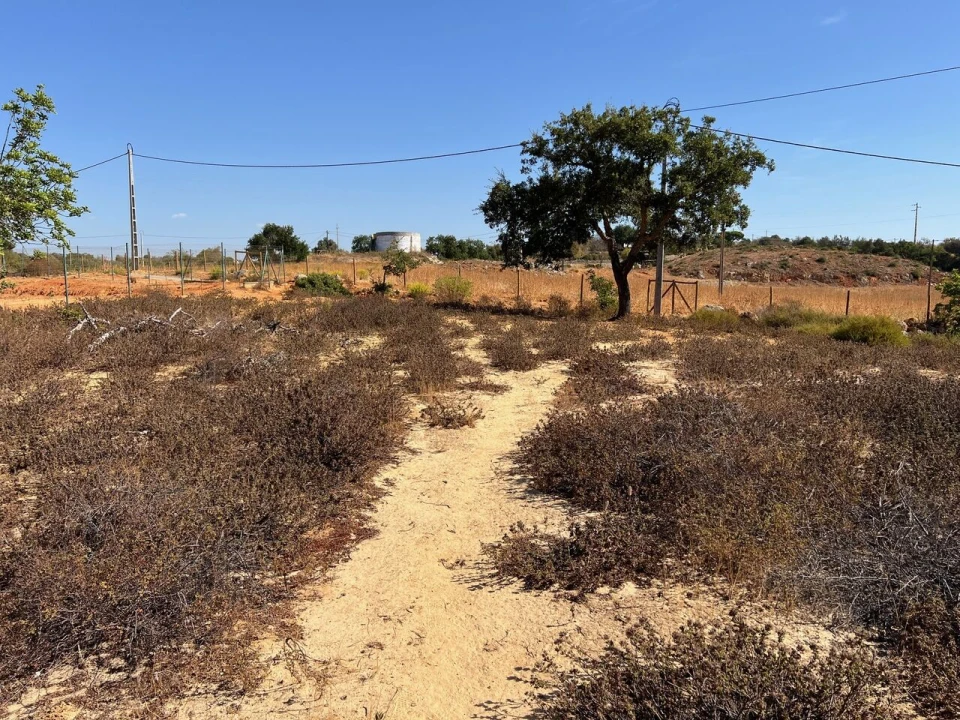 Terreno para Venda em Guia Foto 14