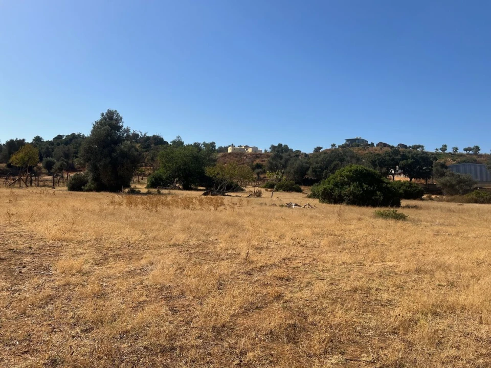 Terreno para Venda em Guia Foto 15