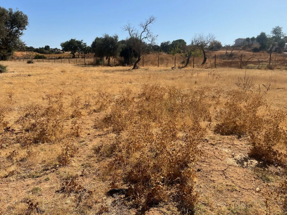 Terreno para Venda em Guia Foto 16