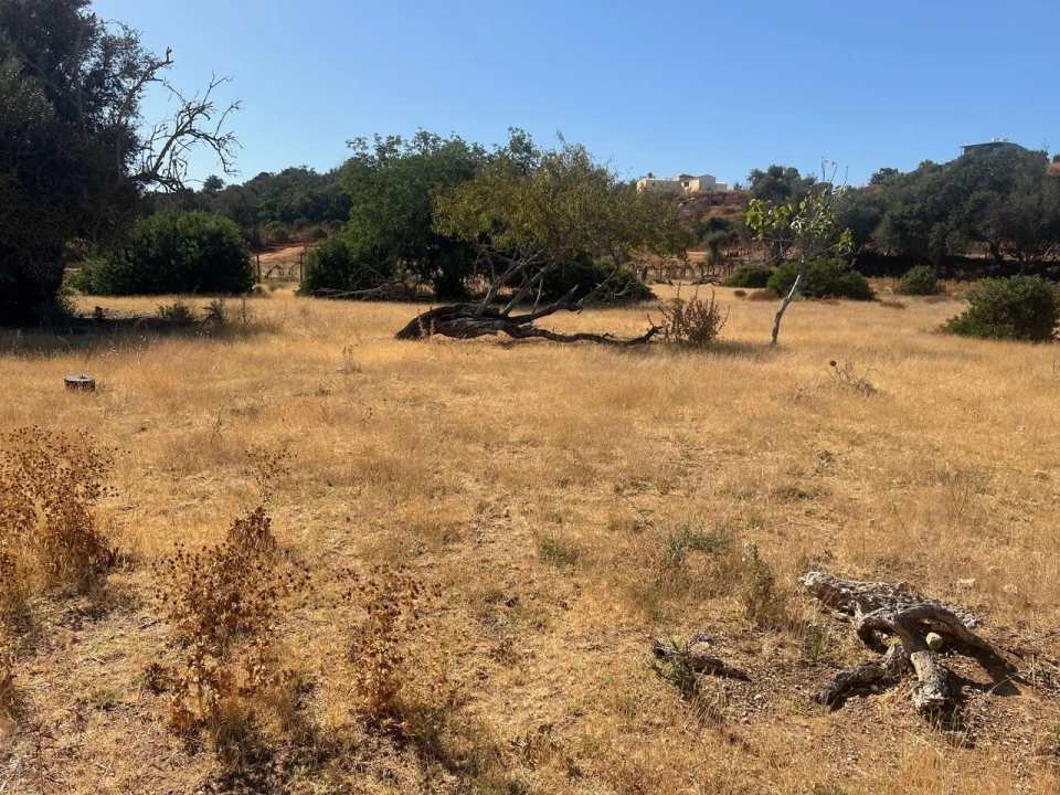 Terreno para Venda em Guia Foto 17