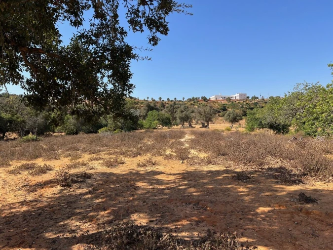 Terreno para Venda em Guia Foto 3