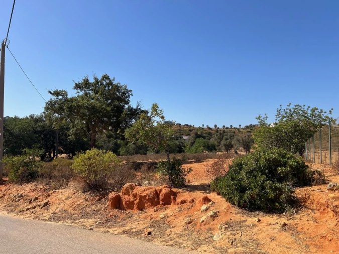 Terreno para Venda em Guia Foto 4