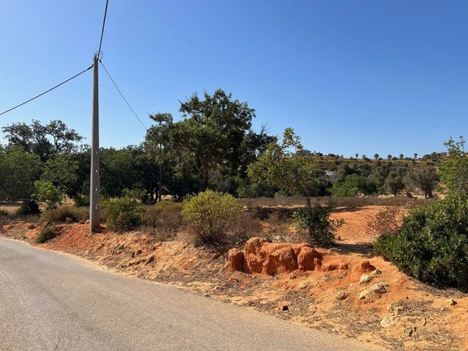 Terreno para Venda em Guia Foto 6