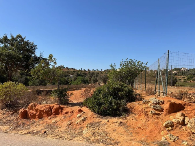 Terreno para Venda em Guia Foto 8