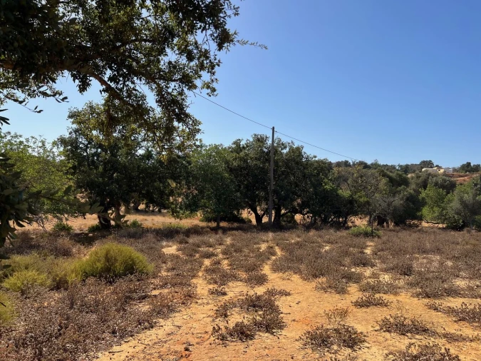 Terreno para Venda em Guia Foto 9
