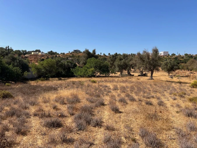 Terreno para Venda em Guia Foto 12