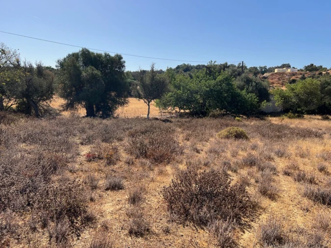 Terreno para Venda em Guia Foto 13