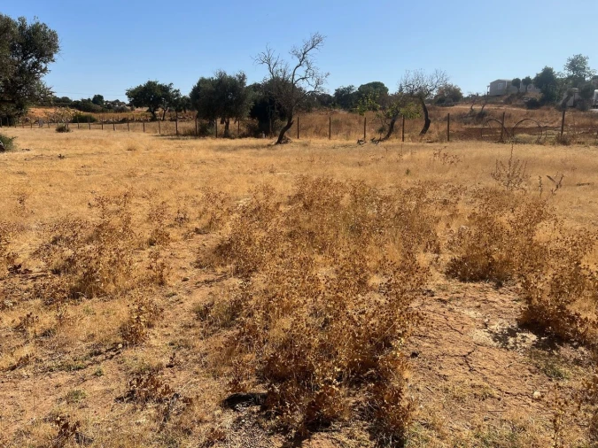 Terreno para Venda em Guia Foto 16