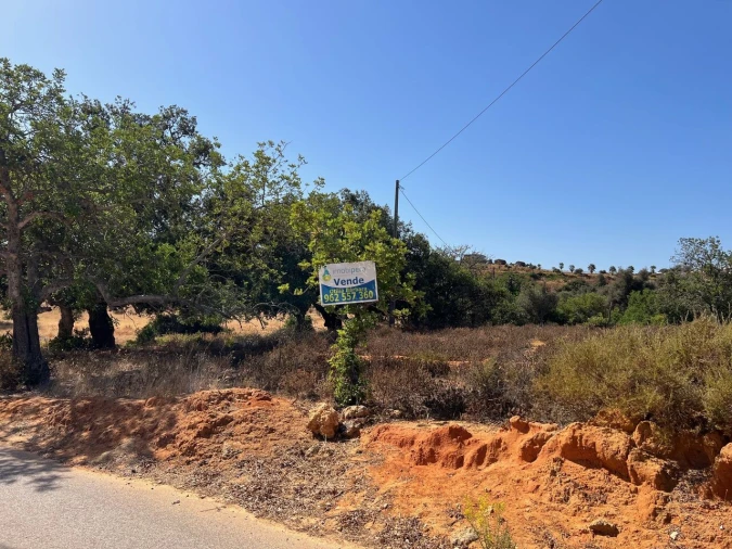 Terreno para Venda em Guia Foto 23