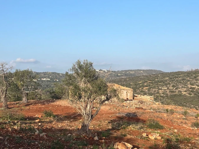 Moradia T4 para Venda em Paderne Foto 12