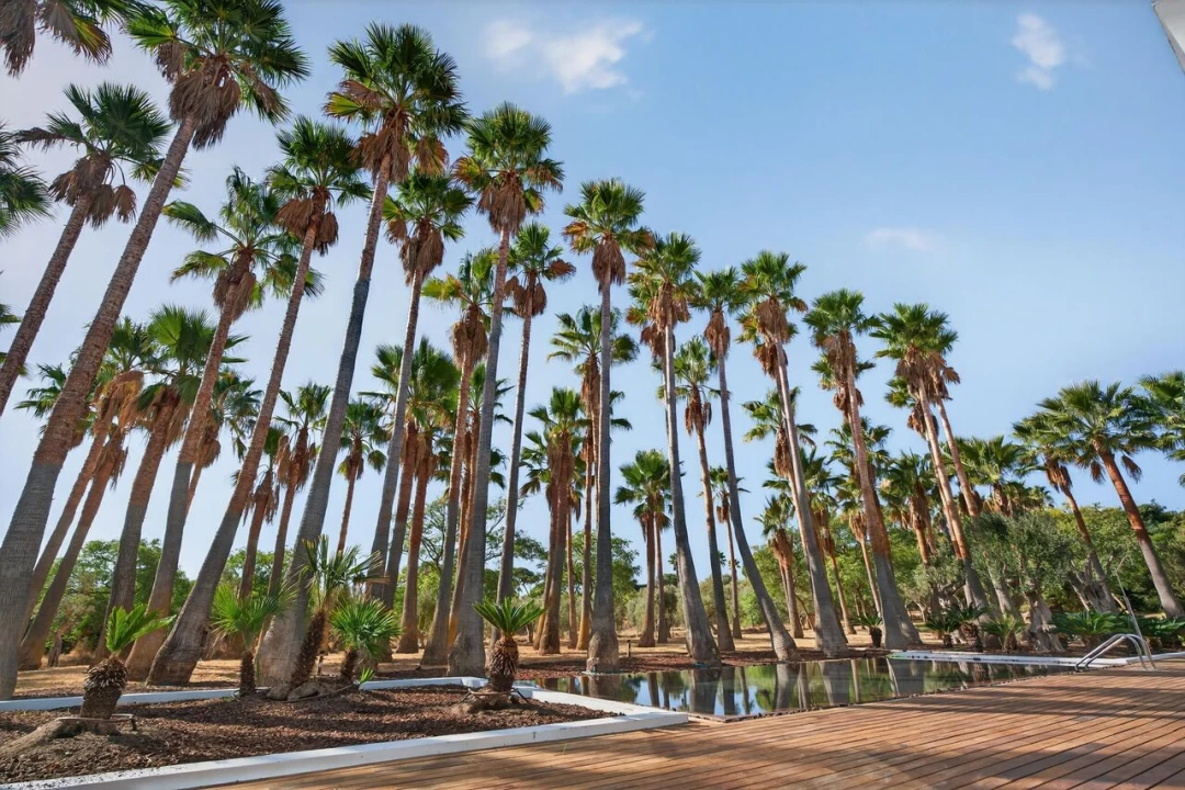 Moradia T3 para Venda em Albufeira e Olhos de Água Foto 6