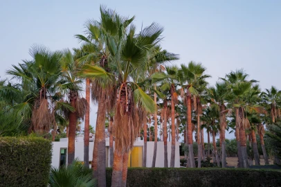 Moradia T3 para Venda em Albufeira e Olhos de Água