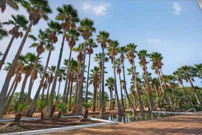 Moradia T3 para Venda em Albufeira e Olhos de Água