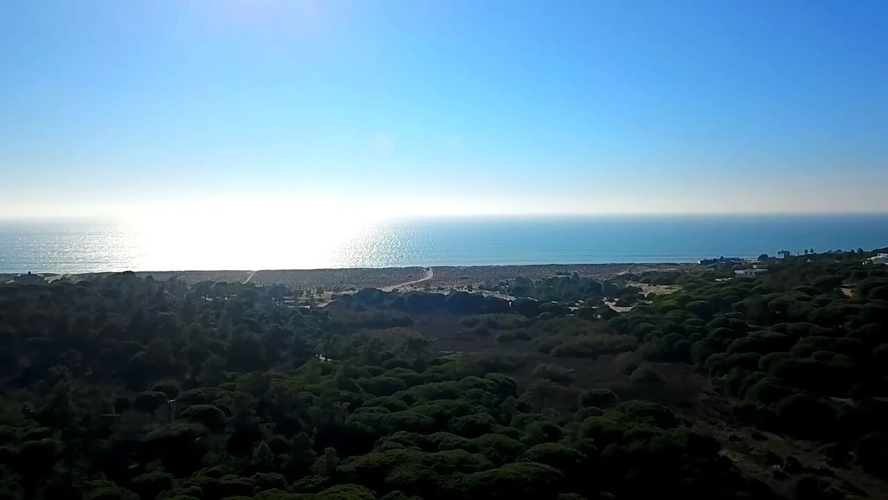 Terreno para Venda em Albufeira e Olhos de Água Foto 5