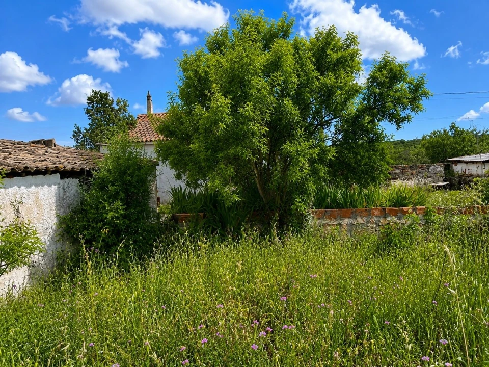 Moradia T2 para Venda em São Bartolomeu de Messines Foto 11